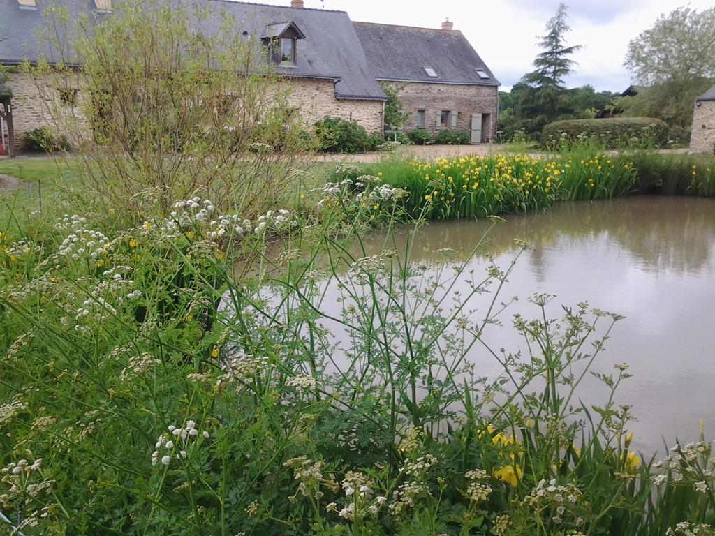 Grand Mainguet Bed and Breakfast Saint-Lambert-la-Potherie Eksteriør billede
